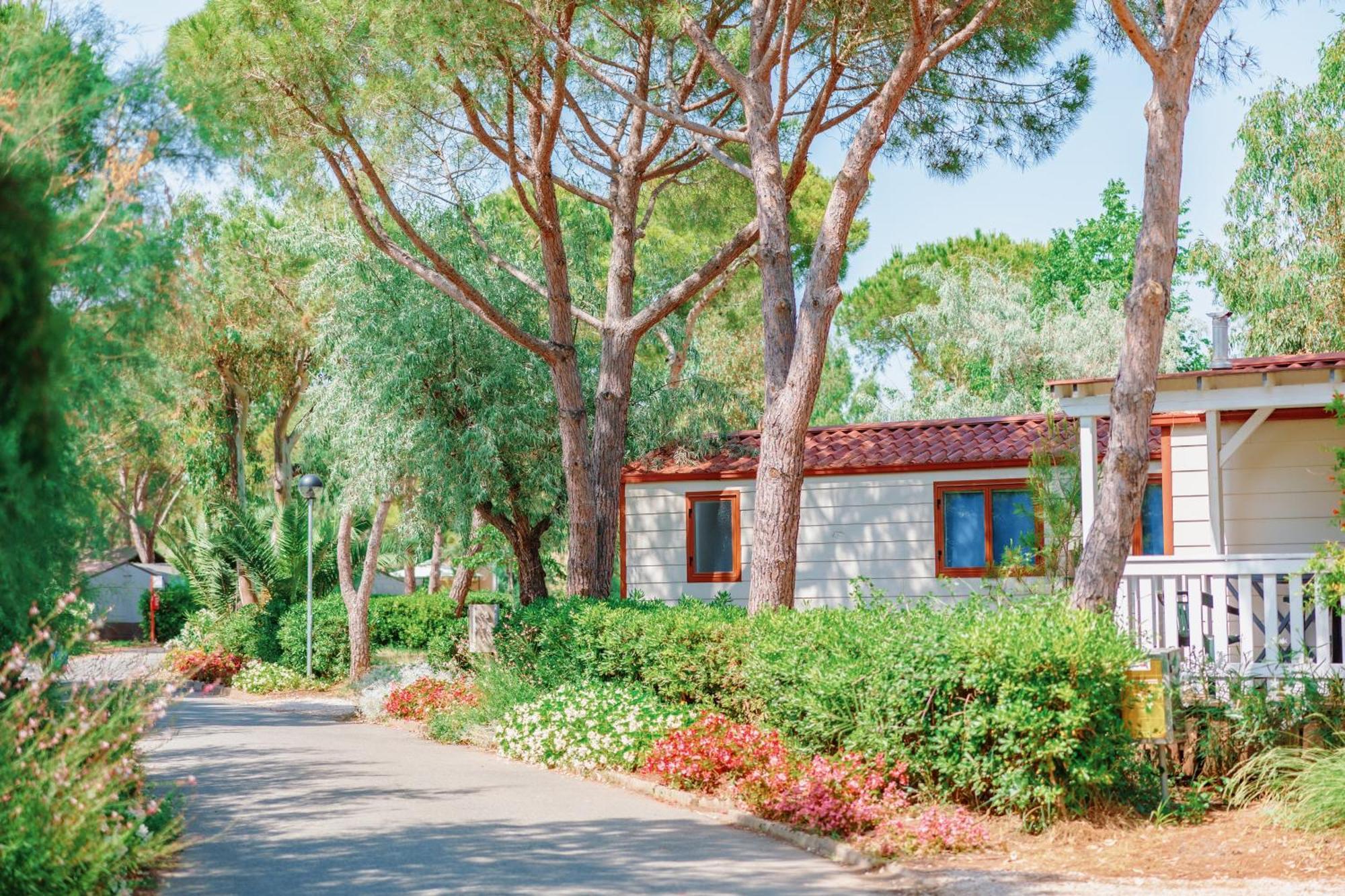 Toscana Bella Camping Village Vada Eksteriør bilde
