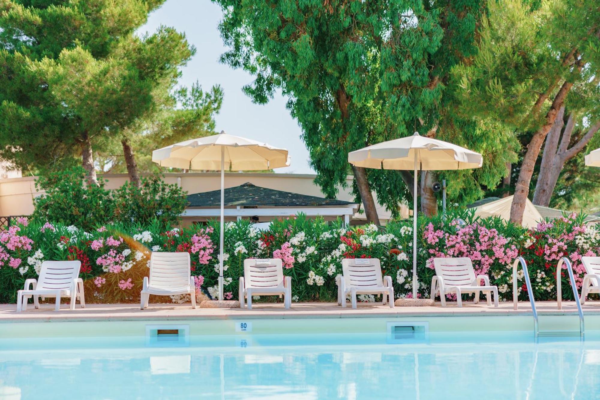 Toscana Bella Camping Village Vada Eksteriør bilde