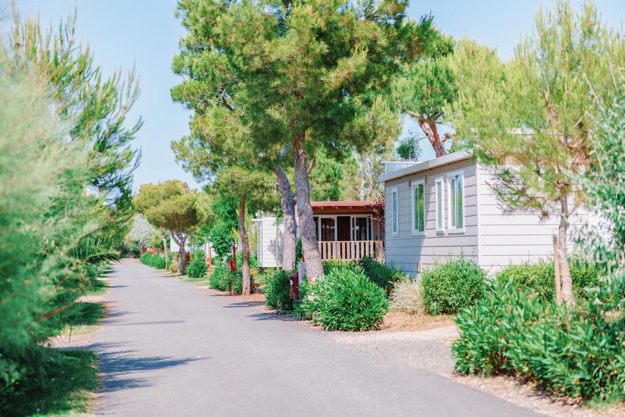 Toscana Bella Camping Village Vada Eksteriør bilde
