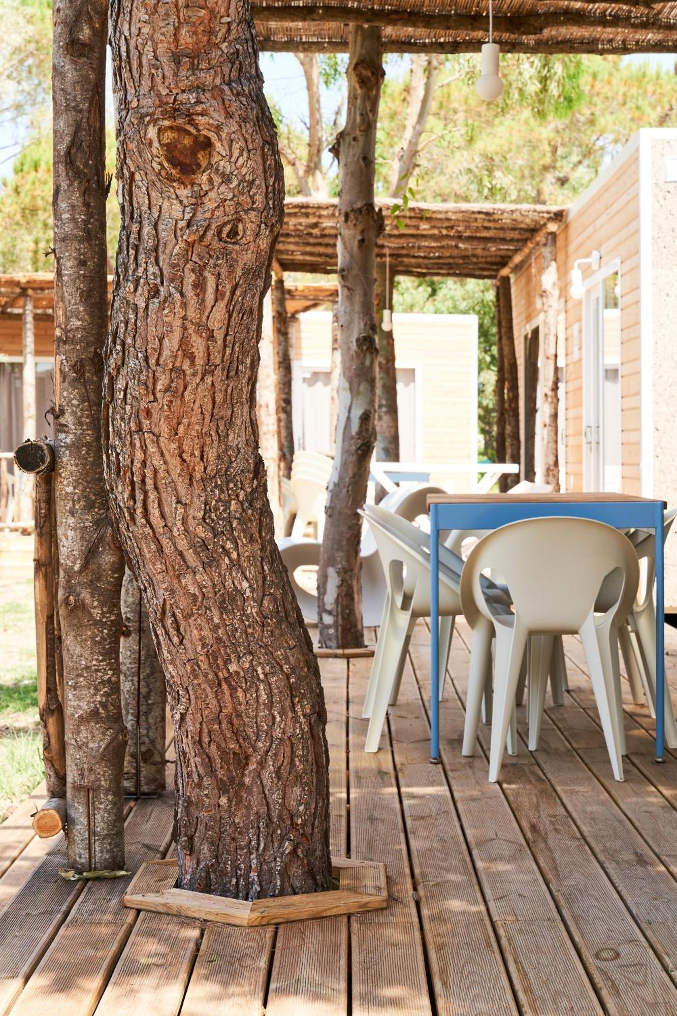 Toscana Bella Camping Village Vada Eksteriør bilde