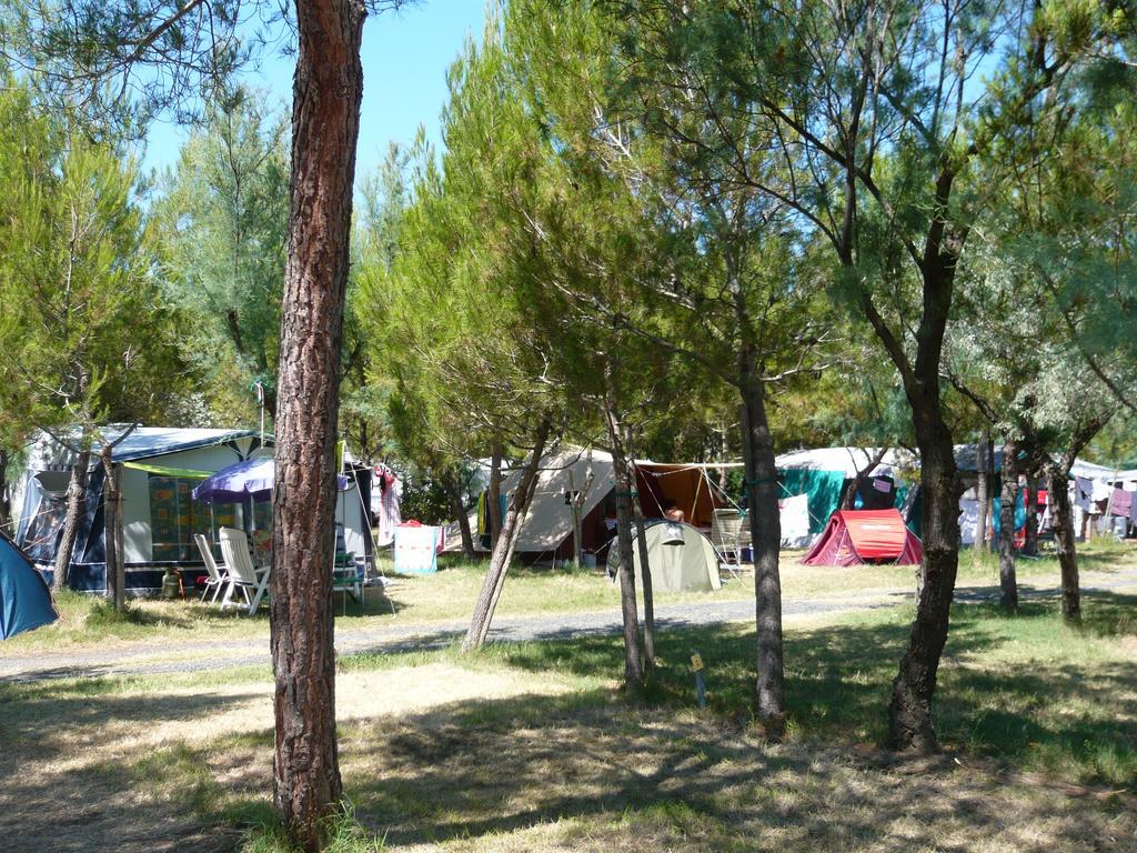 Toscana Bella Camping Village Vada Eksteriør bilde